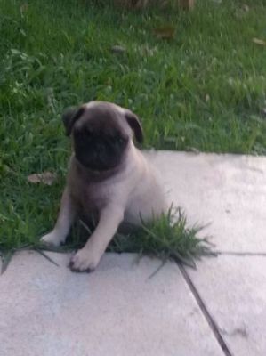 Foto: Jamille