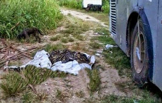 Foto: Obaianão