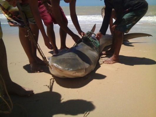 Foto: Primeiro Jornal