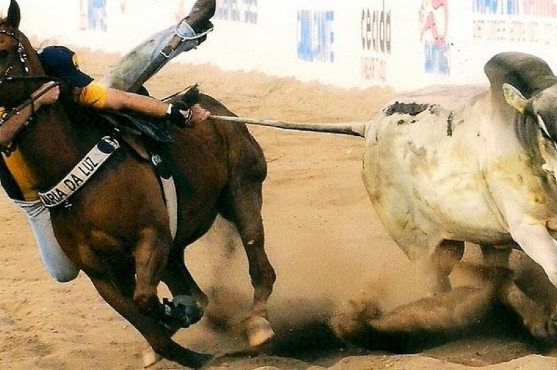 Foto: