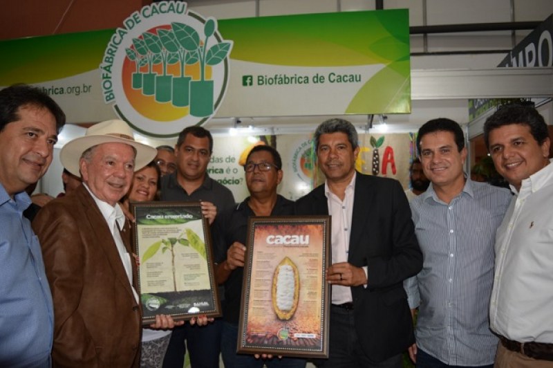 Foto: Mariana Ferreira