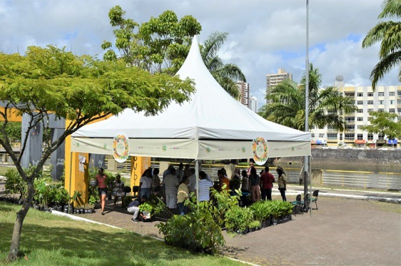 Foto: Antônio Carlos