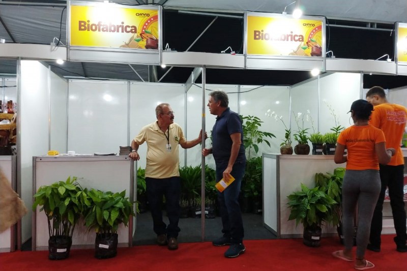 Foto: Mariana Ferreira