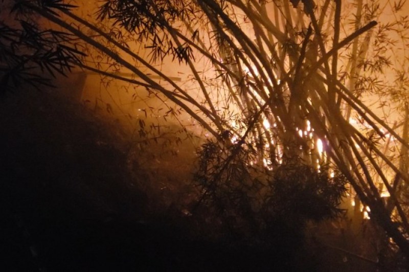 Foto: Tássio Loureiro / AtlanticaNews