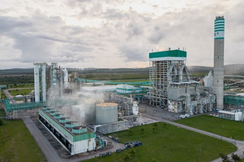 Foto: Divulgação/Veracel