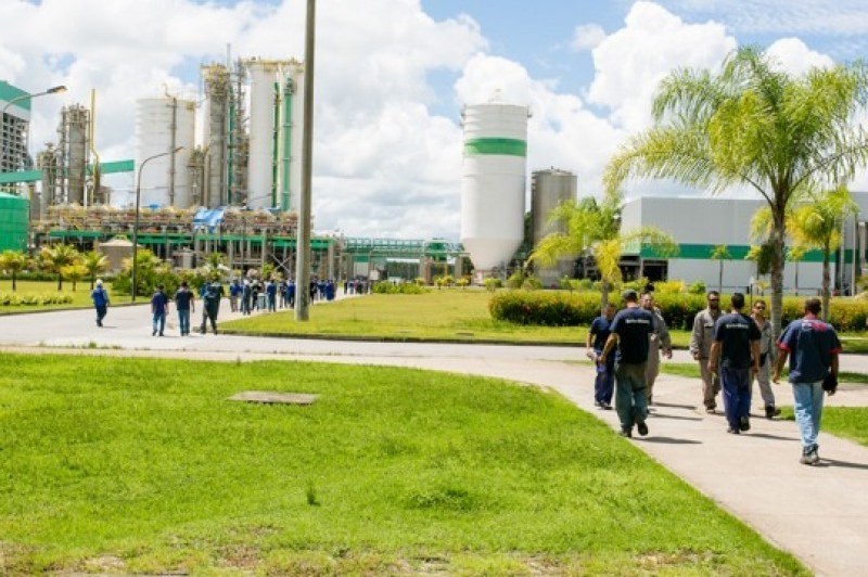 Foto: Divulgação/Veracel