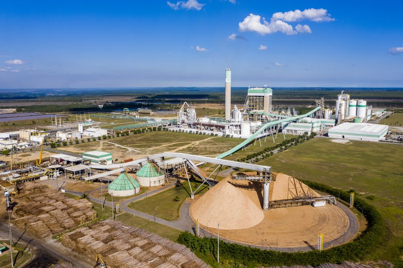 Foto: Divulgação/Veracel