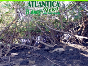 Foto: ANGELO NOGUEIRA / ATLANTICA NEWS