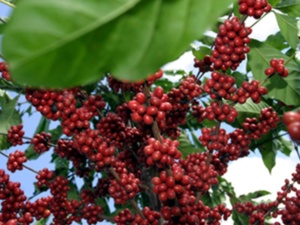 Foto: Arquivo